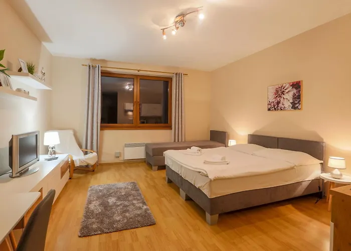 Fatrapark 1 - Wellness And Parking Free * 鲁容贝罗克